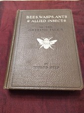Bees wasps ants for sale  CHORLEY