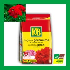Concime granulare fiori usato  Altamura