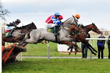 Spot winner horse for sale  STRATFORD-UPON-AVON