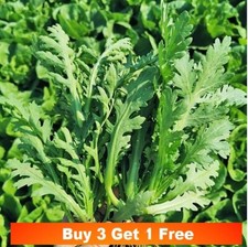 200x seeds crown for sale  LANCASTER