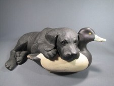 Bradford williams ducks for sale  Lincoln