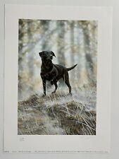 Dog art print for sale  HELENSBURGH