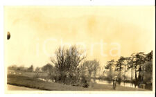 1924 castello windsor usato  Milano