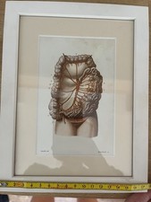 Vintage anatomical heart for sale  LONDON