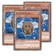 Kuriboh alato comune usato  Ravenna