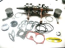 Polaris crankshaft 2003 for sale  Holden
