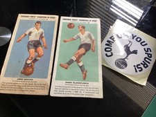 Tottenham hotspur shredded for sale  LINCOLN