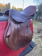 Stubben roxanne jumping for sale  El Dorado