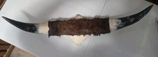 Vintage mounted bull for sale  Erie