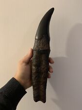Usado, Réplica de dente de tiranossauro Rex T-Rex 35 cm comprar usado  Enviando para Brazil