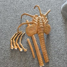 Aliens face hugger for sale  HELSTON