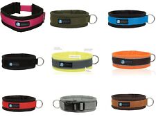 Anny steckhalsband fun gebraucht kaufen  Bassum