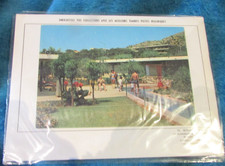 Greek stamps set for sale  STANFORD-LE-HOPE