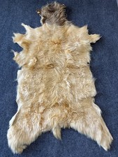 Exotic goat leather for sale  Mercedes