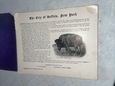 1900 historic buffalo for sale  Glenolden