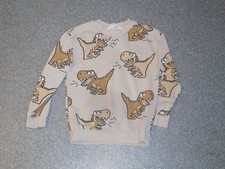 Dinosaurier pullover sweatshir gebraucht kaufen  Deutschland