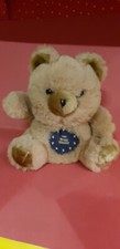 Plüschtier singender teddy gebraucht kaufen  Dommitzsch