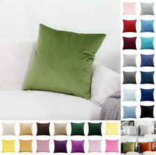 Plush velvet cushion for sale  MANCHESTER