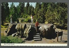 Mark twain stump for sale  Harbor Beach