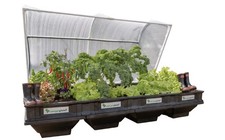 Vegepod large raised for sale  LONDON