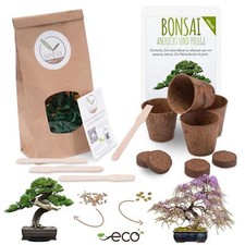 Bonsai starter kit gebraucht kaufen  Blomberg