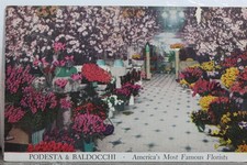flower displays for sale  Wilmington