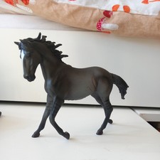 Mustang mare grulla for sale  HASTINGS