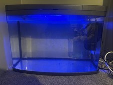 Love fish panorama for sale  BISHOP'S STORTFORD
