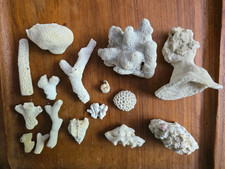 Pieces natural real for sale  LEWES