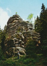 C238 ansichtskarte schierke gebraucht kaufen  Zschopau
