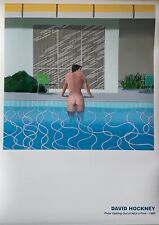 David hockney usato  Visciano