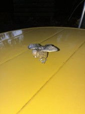 Stehende meise vogel gebraucht kaufen  Berlin