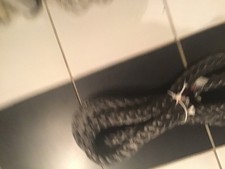 Rope pure dyneema for sale  CHRISTCHURCH