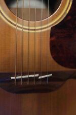Alhambra acoustic guitar for sale  LONDON
