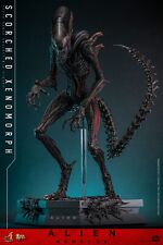 Preorder alien romulus usato  Civitanova Marche