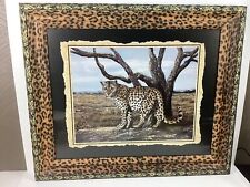 Leopard cat print for sale  Lascassas
