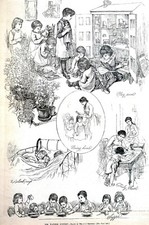 Wayside nursery 1886 for sale  Brooklyn