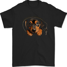 Dachshund puppy pocket for sale  COVENTRY