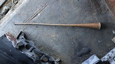 Edwardian horn for sale  WORTHING