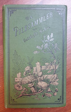 Buch antiquität 1883 gebraucht kaufen  Griesstätt