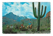 Tucson mountain park for sale  Chicago