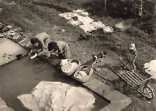 Ancienne photographie 1959 d'occasion  Nogent-sur-Marne