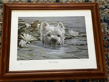 Vintage paul doyle for sale  BECCLES