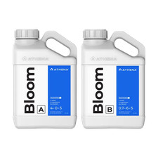 Athena bloom 1l gebraucht kaufen  Herzogenrath