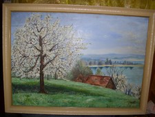 Quadro rilievo anno usato  Mazzarrone