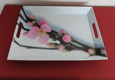 Tablett emsa tablett gebraucht kaufen  Bergheim