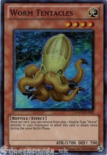 Ha03 en023 worm for sale  SHIPLEY