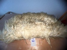 gold breite 75 gebraucht kaufen gold breite 75 gebraucht kaufen Dresden