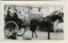 Photo ancienne cheval d'occasion  Paris XI