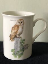Barn owl mug for sale  UCKFIELD